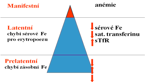 Ukazatele železa 2.jpg