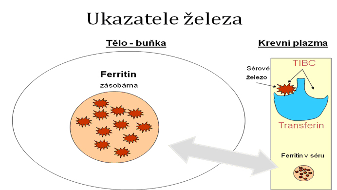 Ukazatele železa.jpg