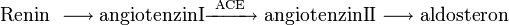\mathrm{Renin}\ \longrightarrow \mathrm{angiotenzin  I } \xrightarrow{\mathrm{\ ACE\ }}\ \mathrm{angiotenzin  II } \longrightarrow \mathrm{aldosteron}