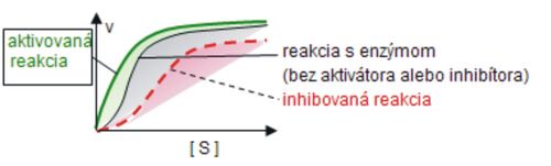 Obr. 5b Vplyv aktivátora a inhibítora na aktivitu alosterického enzýmu