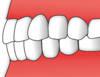 Zuby - psalidodoncie.png