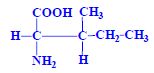 Isoleucin.jpg