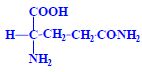 Glutamin.jpg