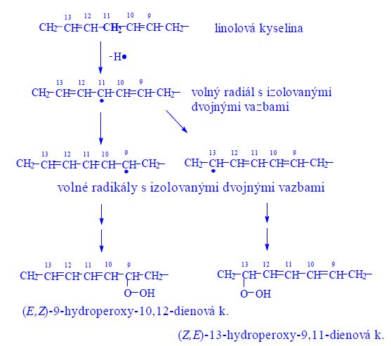 Oxidace linolové.jpg