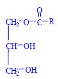 Monoacylglycerol-aditiva.jpg