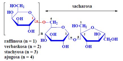 Galaktooligosacharidy luštěnin.jpg
