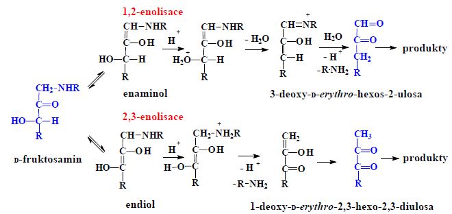 Vznik glykosulos.jpg