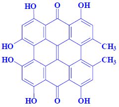 Hypericin.jpg