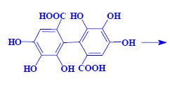 Hexahydroxybifenylová.jpg