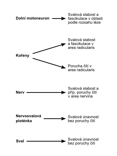 Clinical characteristics of peripheral impairment