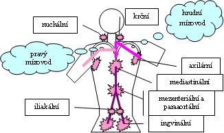 Uzlinové oblasti.jpg