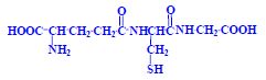 Glutathion.jpg