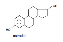 Estradiol.jpg