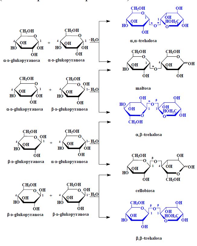 Sach podle biol poločas.jpg