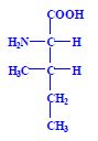 L-isoleucin.jpg