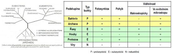Klasifikace mikroorganizmu.jpg