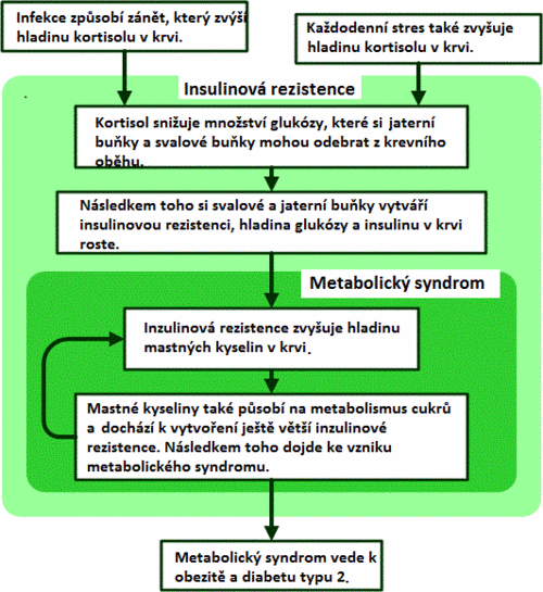 Metabolický syndrom 1.gif