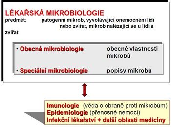 Mikrobiologie - vztah k odborom.jpg