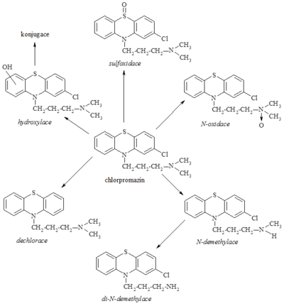 Schéma biotransformace chlorpromazinu.png